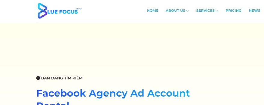 Flagged Facebook Advertising Accounts