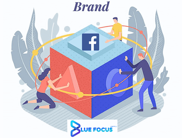 advertising performance on Facebook.