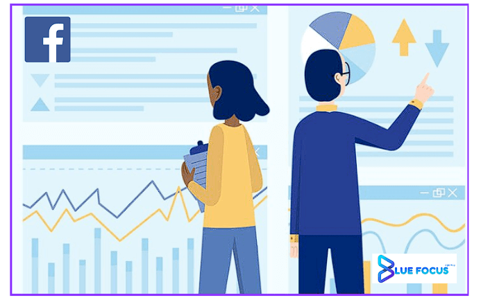 advertising performance on Facebook.