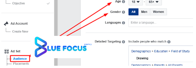 Facebook Ads in Dropshipping